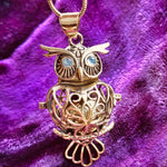 Load image into Gallery viewer, Wise Owl Harmony Bell in Brass
