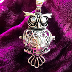 Load image into Gallery viewer, Wise Owl Harmony Bell in Silver Plated
